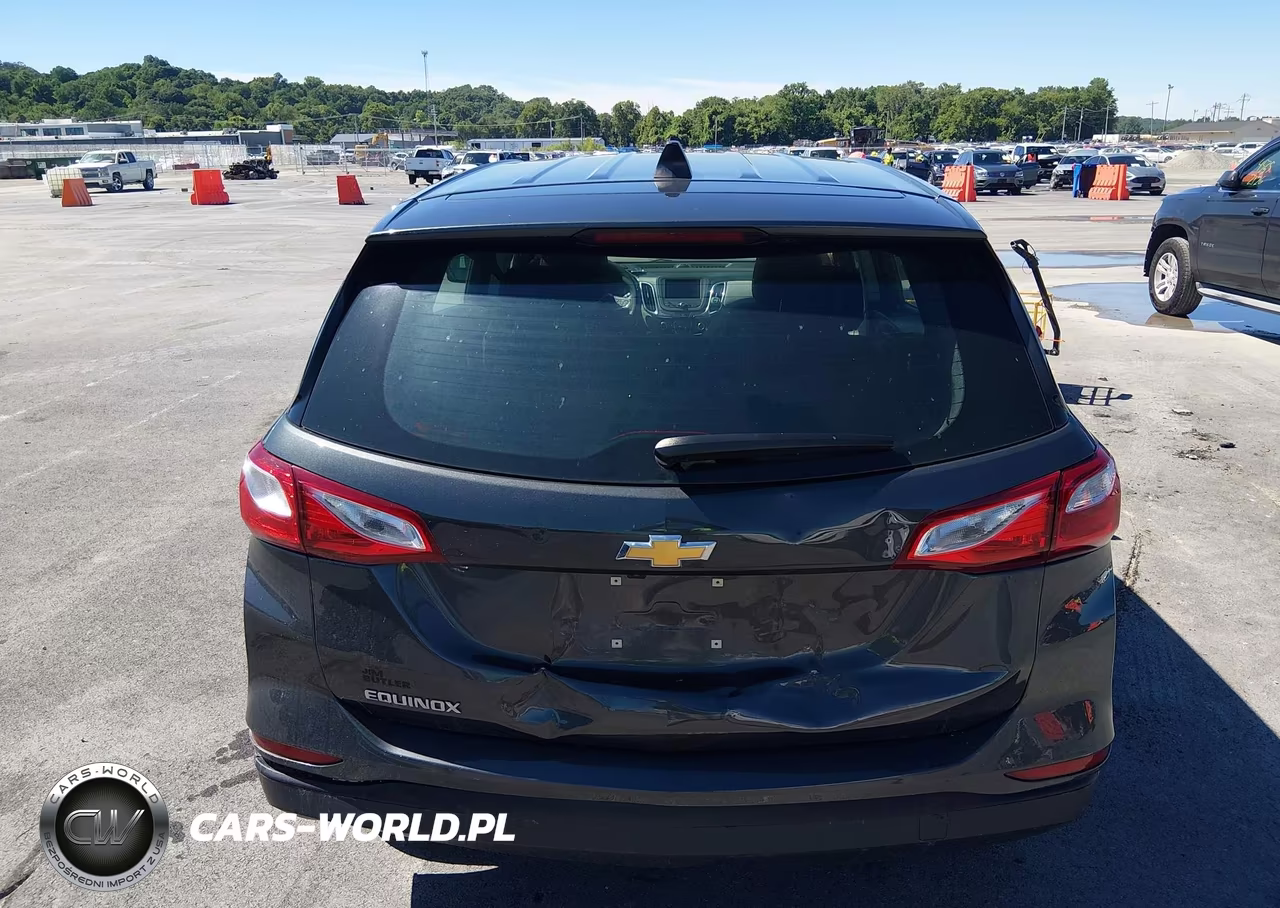 2020 Chevrolet Equinox Fwd Ls VIN:2GNAXHEV2L6146597 - 16