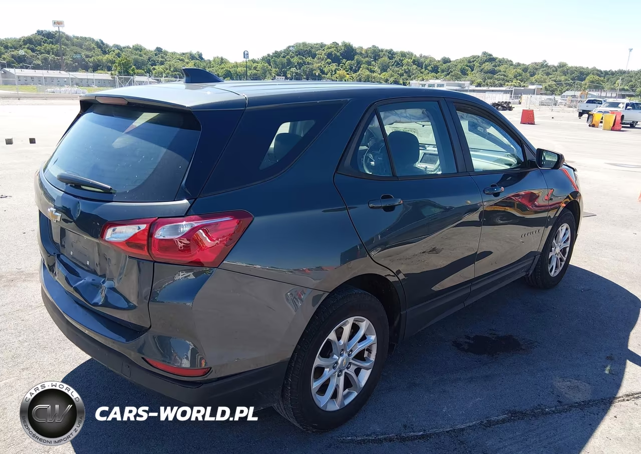 2020 Chevrolet Equinox Fwd Ls VIN:2GNAXHEV2L6146597 - 4