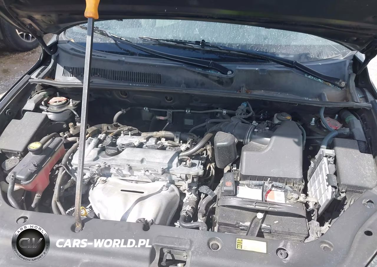 2009 Toyota Rav4 Limited VIN:JTMZF31V39D007385 - 10