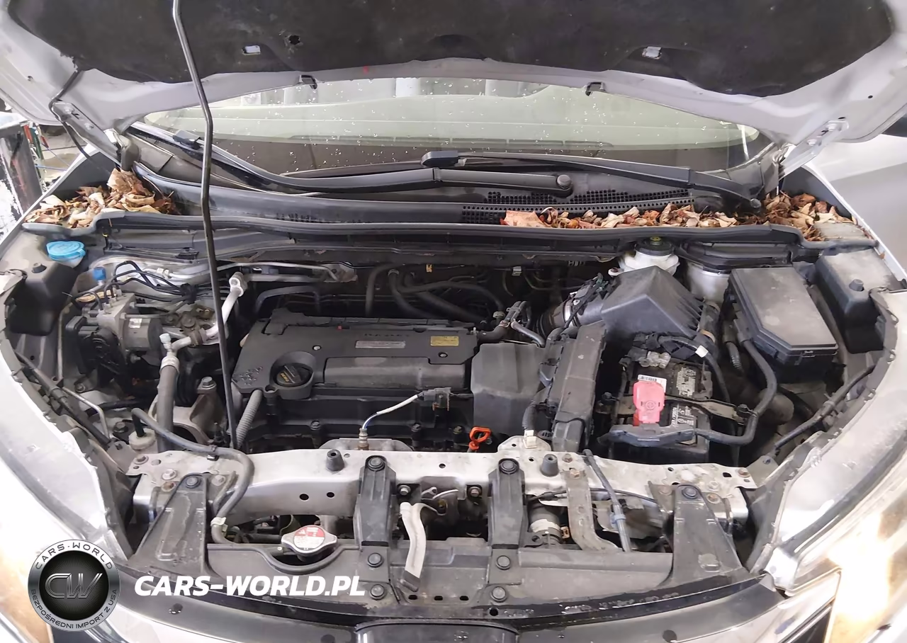 2016 Honda Cr-V Lx VIN:2HKRM4H38GH669325 - 10