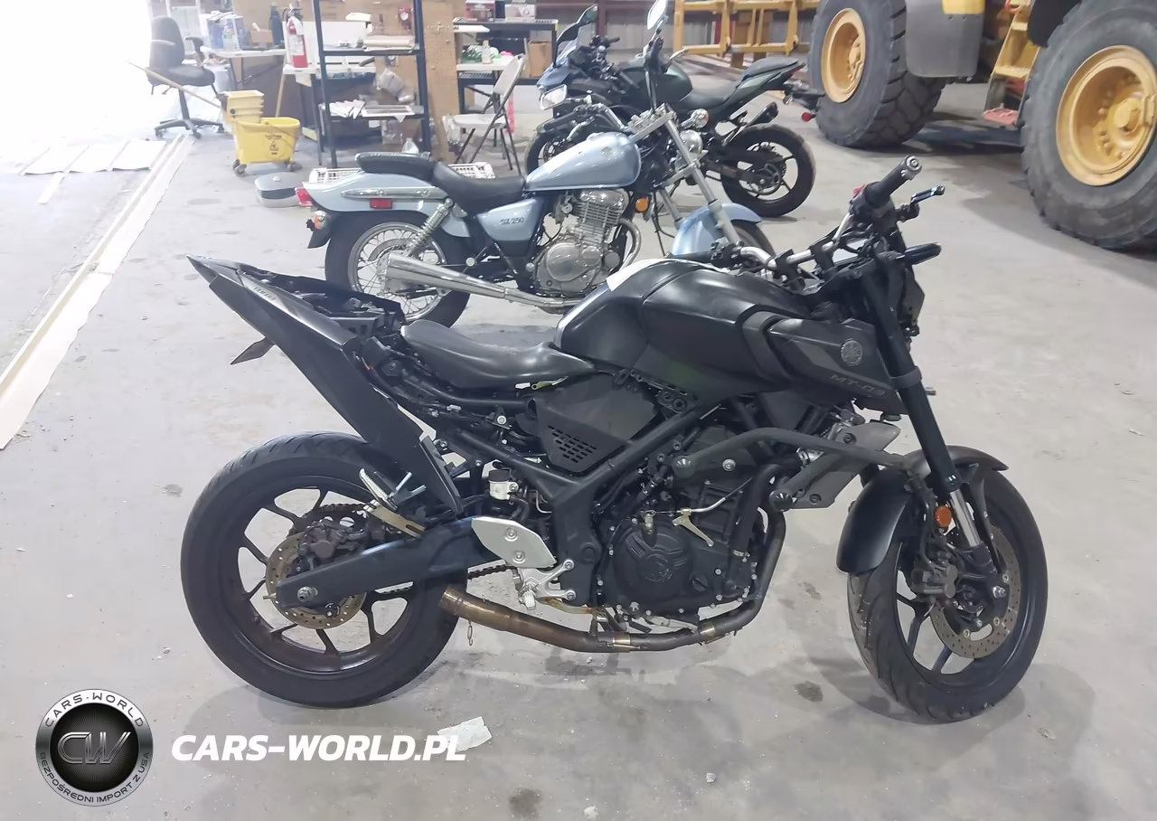2021 Yamaha Mt-03 VIN:MH3RH20YXMK005218 - 12