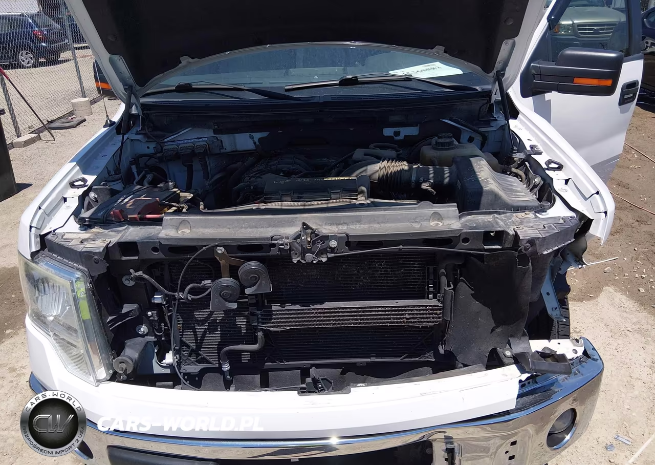 2013 Ford F-150 Xlt VIN:1FTEW1CMXDFB52119 - 10