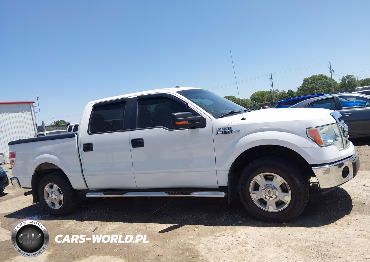 2013 Ford F-150 Xlt VIN:1FTEW1CMXDFB52119 - 13