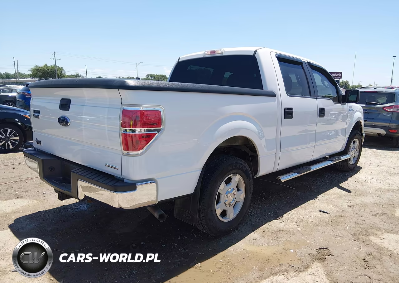 2013 Ford F-150 Xlt VIN:1FTEW1CMXDFB52119 - 4