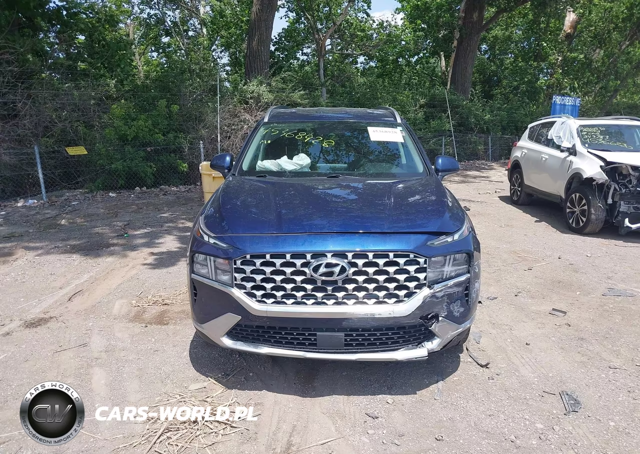 2021 Hyundai Santa Fe Sel VIN:5NMS2DAJ1MH352494 - 12