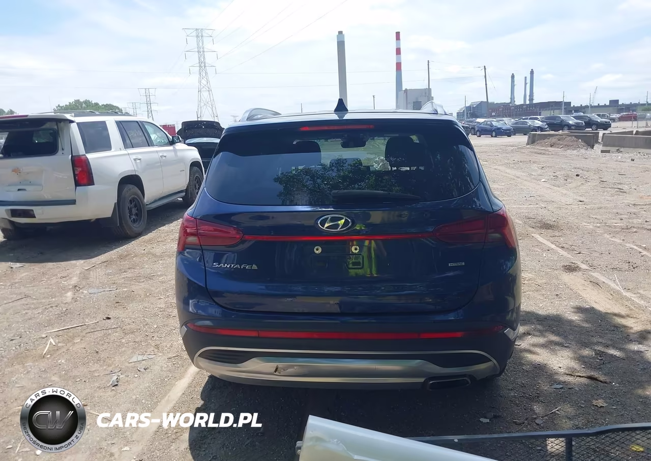 2021 Hyundai Santa Fe Sel VIN:5NMS2DAJ1MH352494 - 16