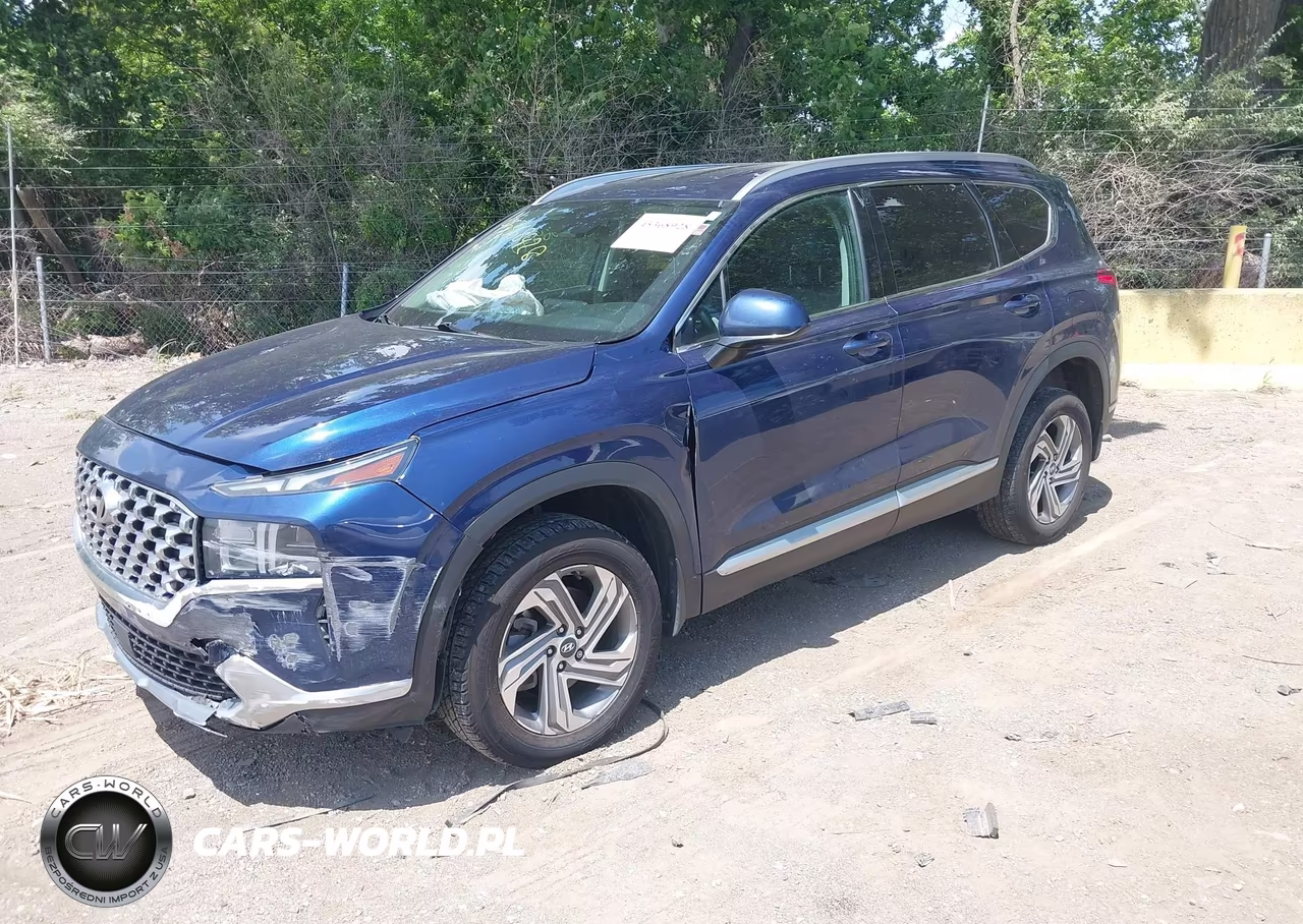 2021 Hyundai Santa Fe Sel VIN:5NMS2DAJ1MH352494 - 2