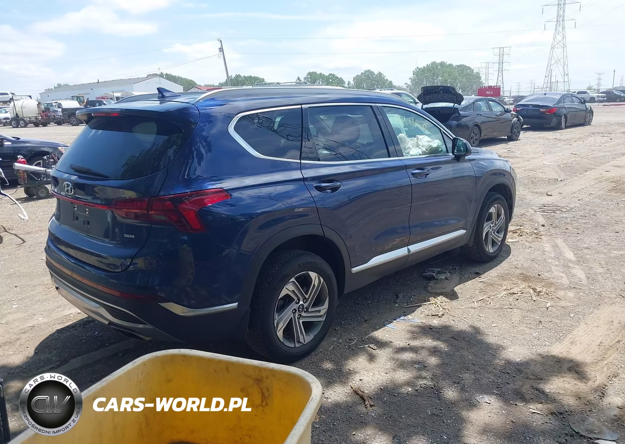 2021 Hyundai Santa Fe Sel VIN:5NMS2DAJ1MH352494 - 4