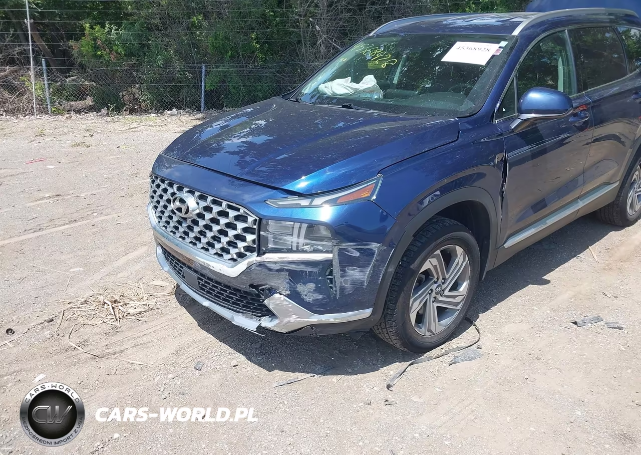 2021 Hyundai Santa Fe Sel VIN:5NMS2DAJ1MH352494 - 6