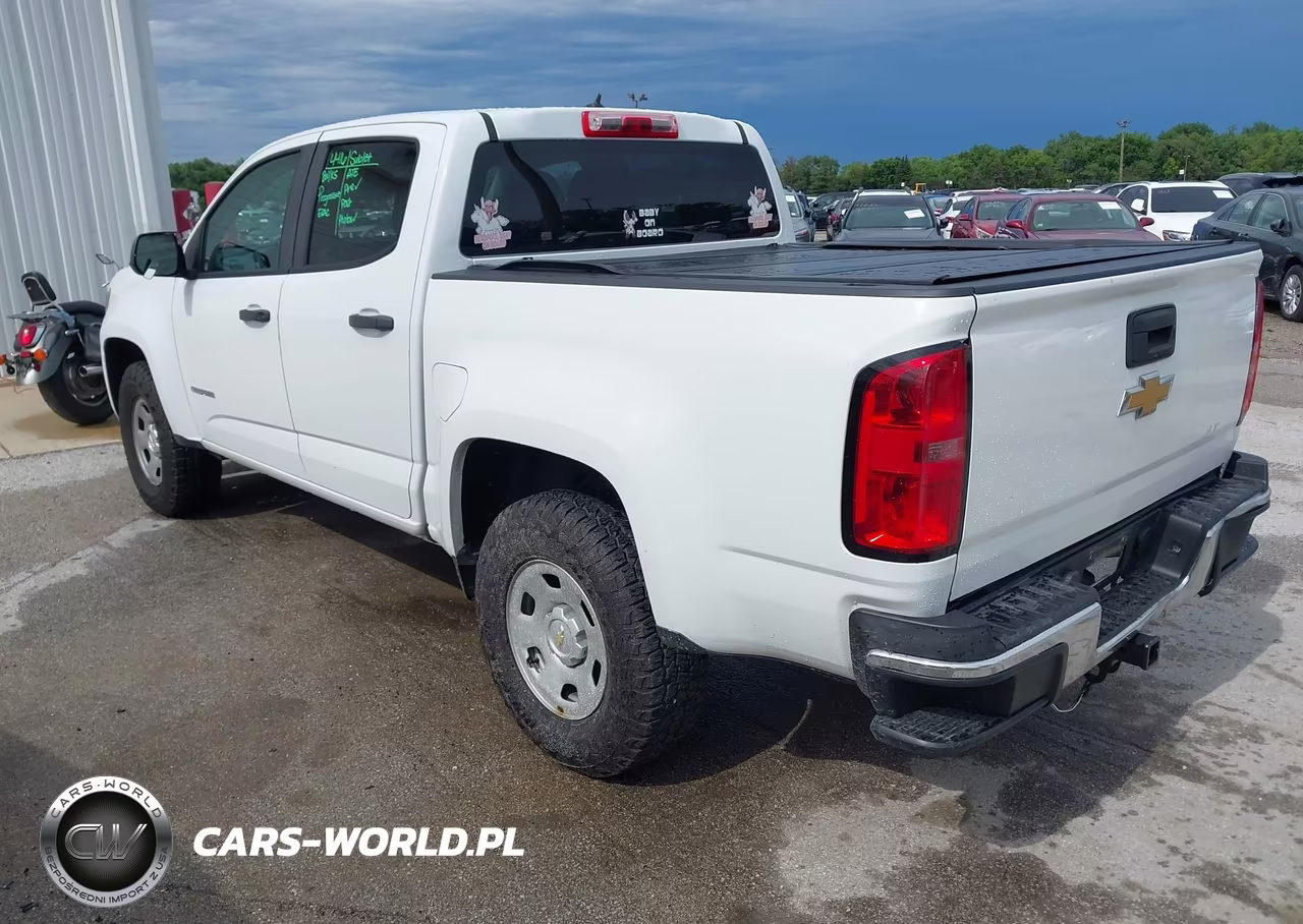 2019 Chevrolet Colorado Wt VIN:1GCGSBEA0K1125731 - 3