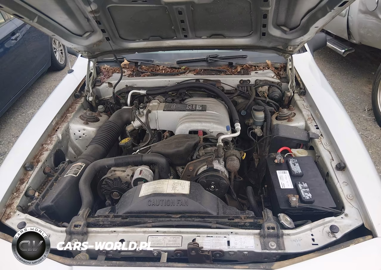 1988 Ford Thunderbird Sport VIN:1FABP61F0JH213940 - 10