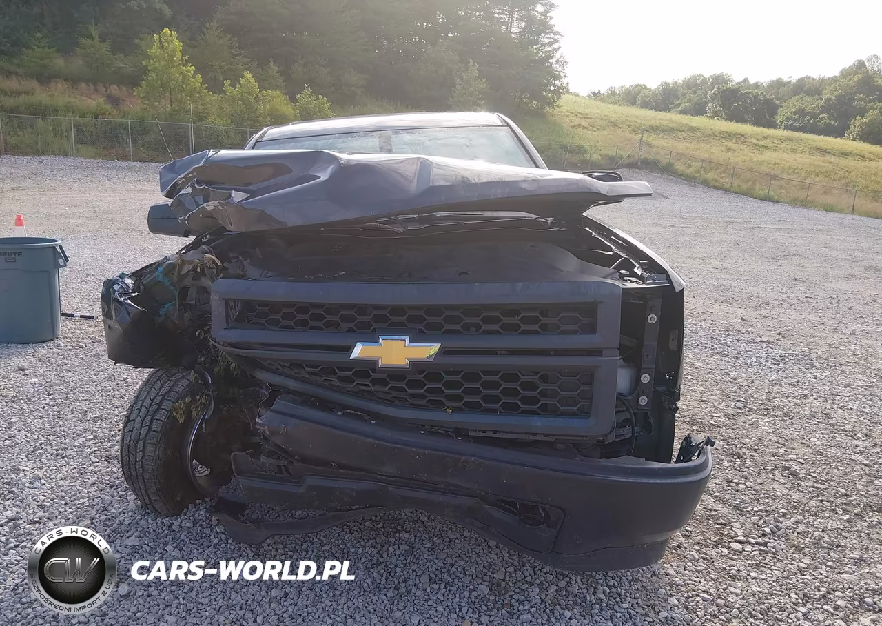 2014 Chevrolet Silverado 1500 Work Truck VIN:1GCRCPEH6EZ357689 - 12