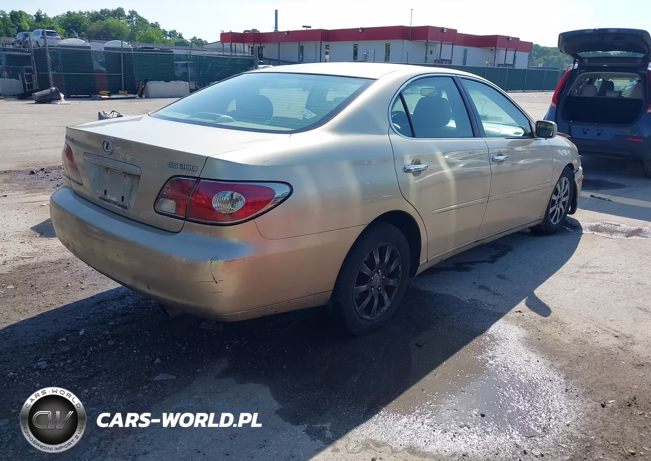 2003 Lexus Es 300 VIN:JTHBF30GX30103077 - 4