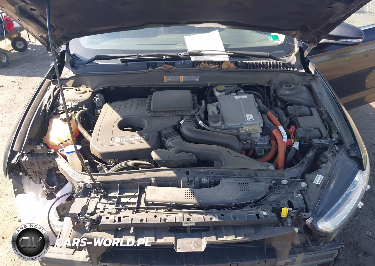 2014 Ford Fusion Hybrid Titanium VIN:3FA6P0RU5ER363709 - 10