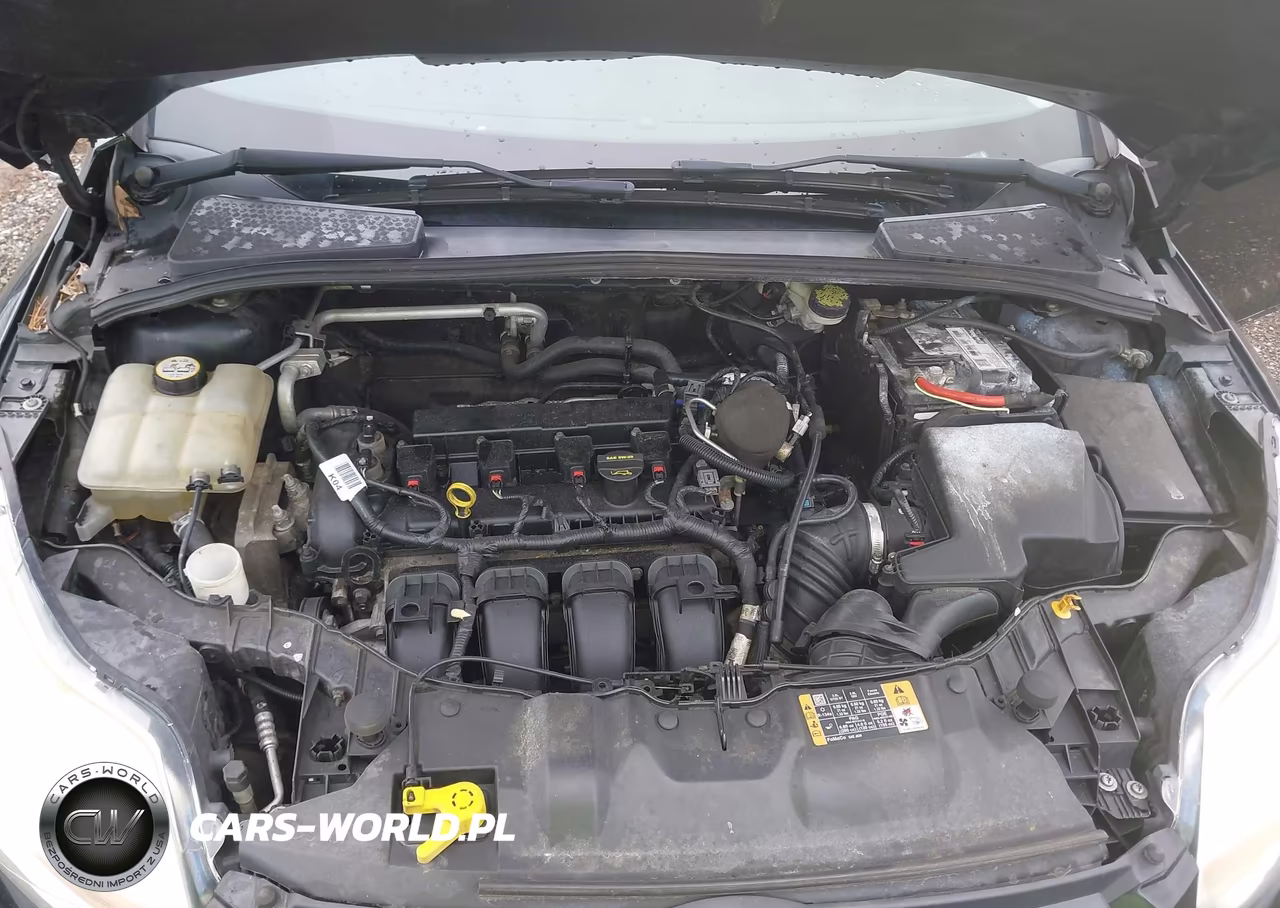 2014 Ford Focus Se VIN:1FADP3F29EL414137 - 10