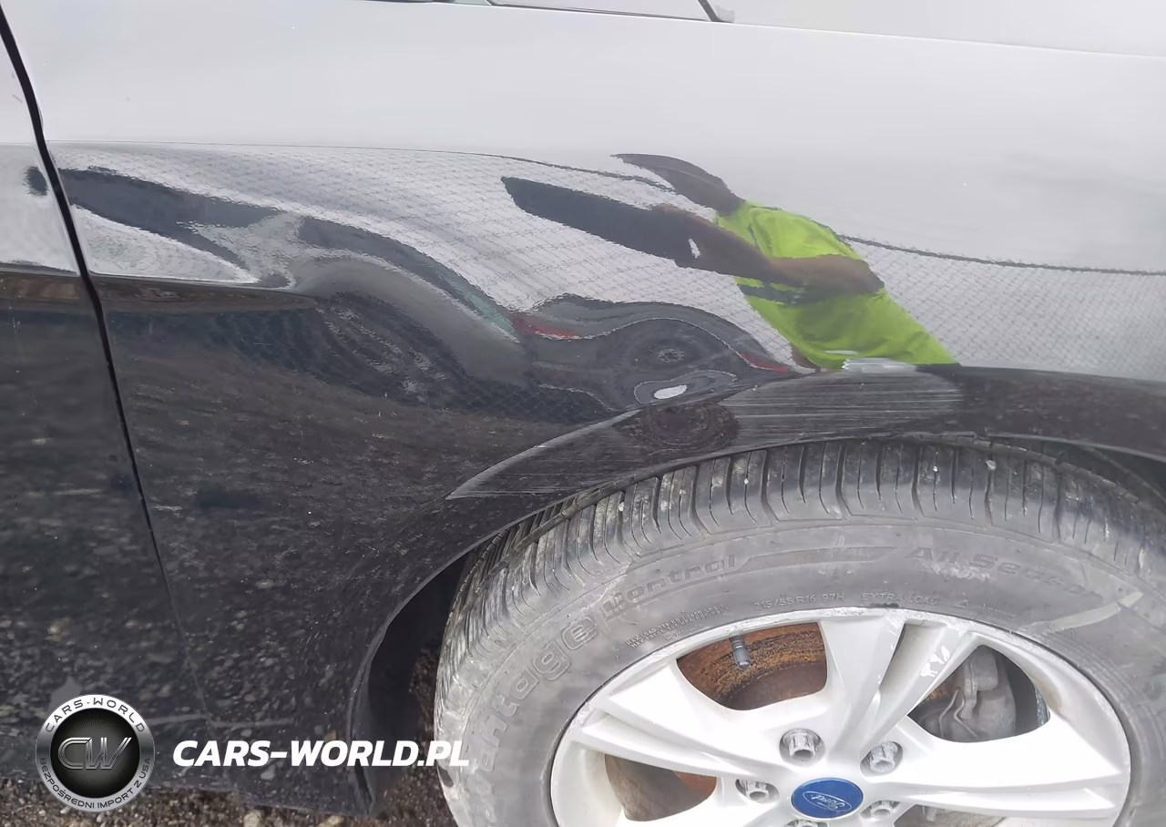 2014 Ford Focus Se VIN:1FADP3F29EL414137 - 12