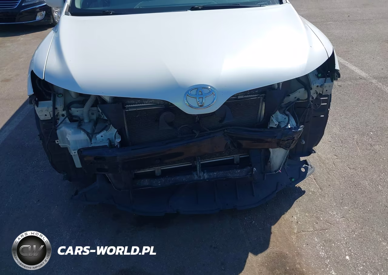 2010 Toyota Venza VIN:4T3ZA3BB8AU029022 - 13