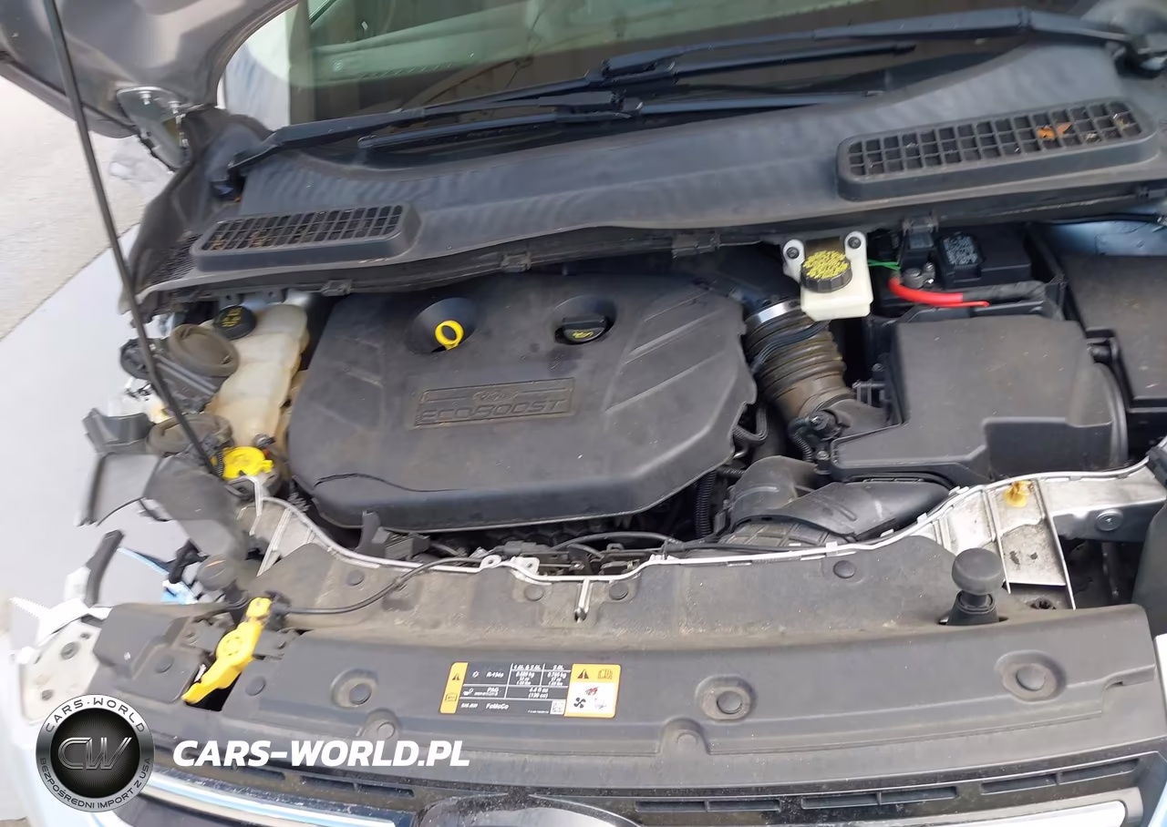 2014 Ford Escape Titanium VIN:1FMCU0J9XEUB55519 - 10