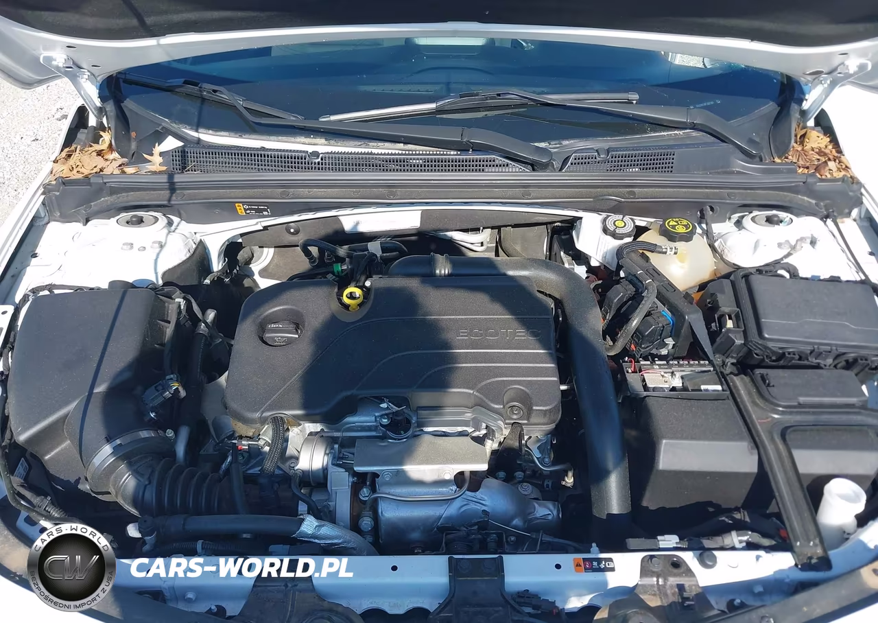 2023 Chevrolet Malibu Fwd 1Lt VIN:1G1ZD5ST1PF200983 - 10