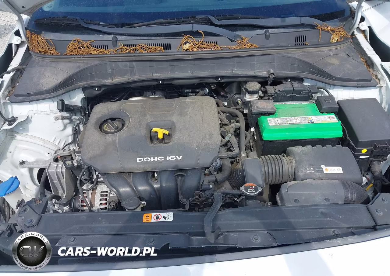 2019 Hyundai Kona Sel VIN:KM8K22AA6KU386453 - 10