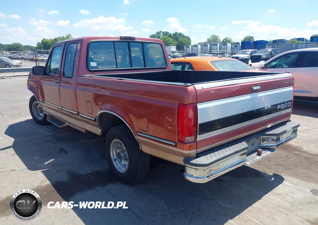 1995 Ford F150 VIN:1FTEX15H4SKA31393 - 3