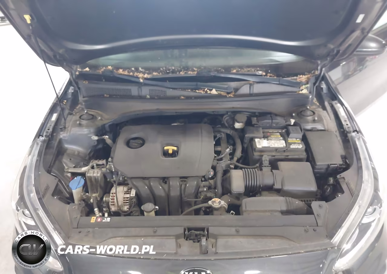2019 Kia Forte Fe VIN:3KPF24AD2KE139506 - 10