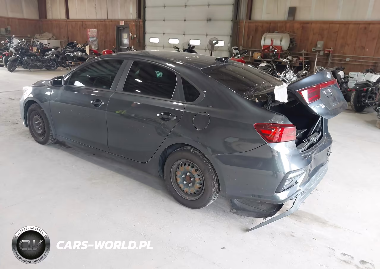 2019 Kia Forte Fe VIN:3KPF24AD2KE139506 - 3