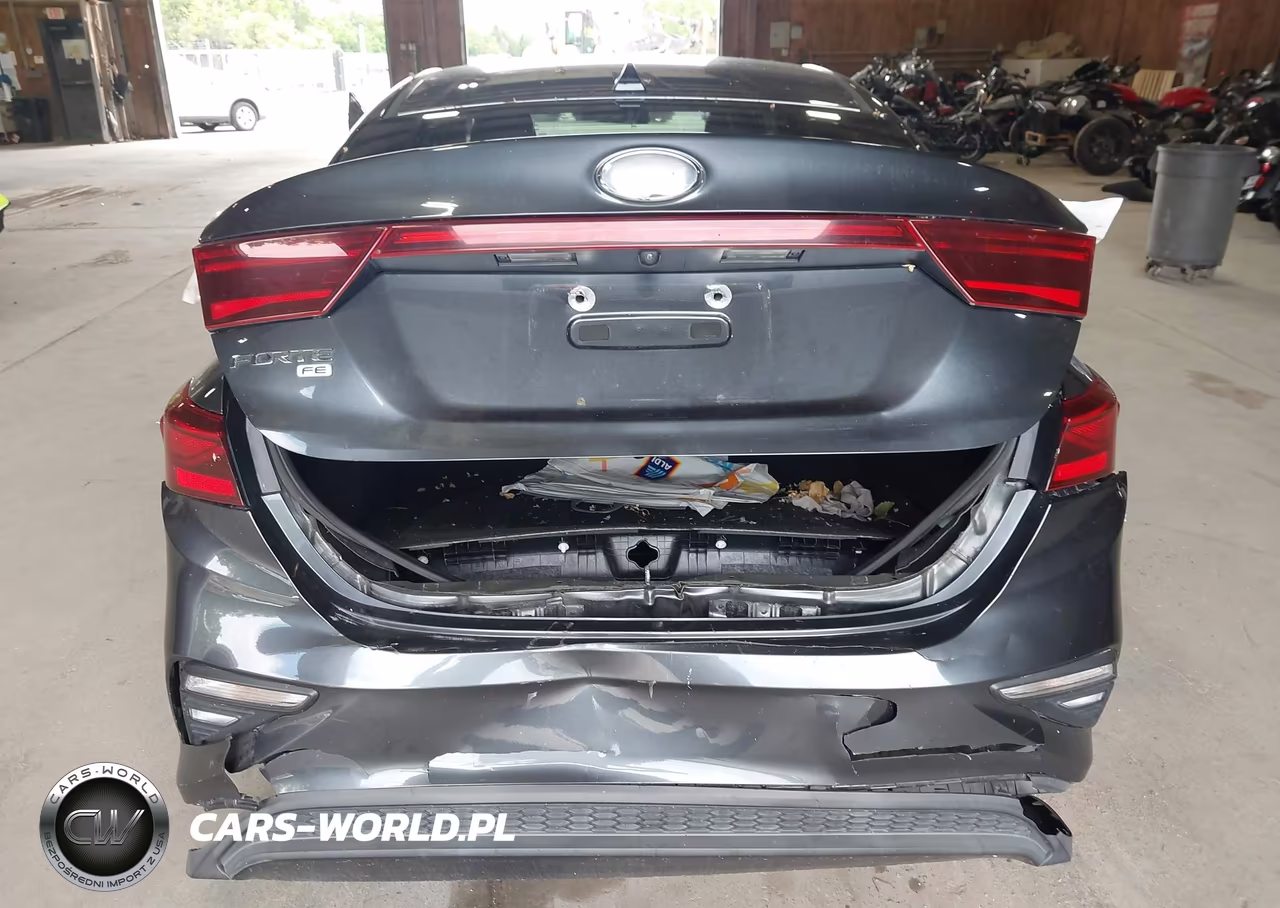 2019 Kia Forte Fe VIN:3KPF24AD2KE139506 - 6