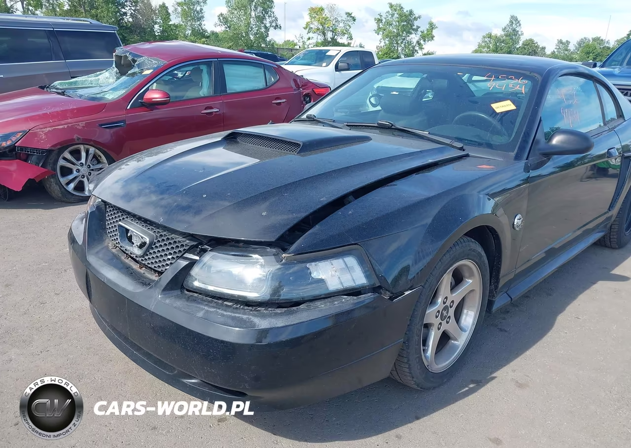 2004 Ford Mustang Gt VIN:1FAFP42X24F108958 - 6