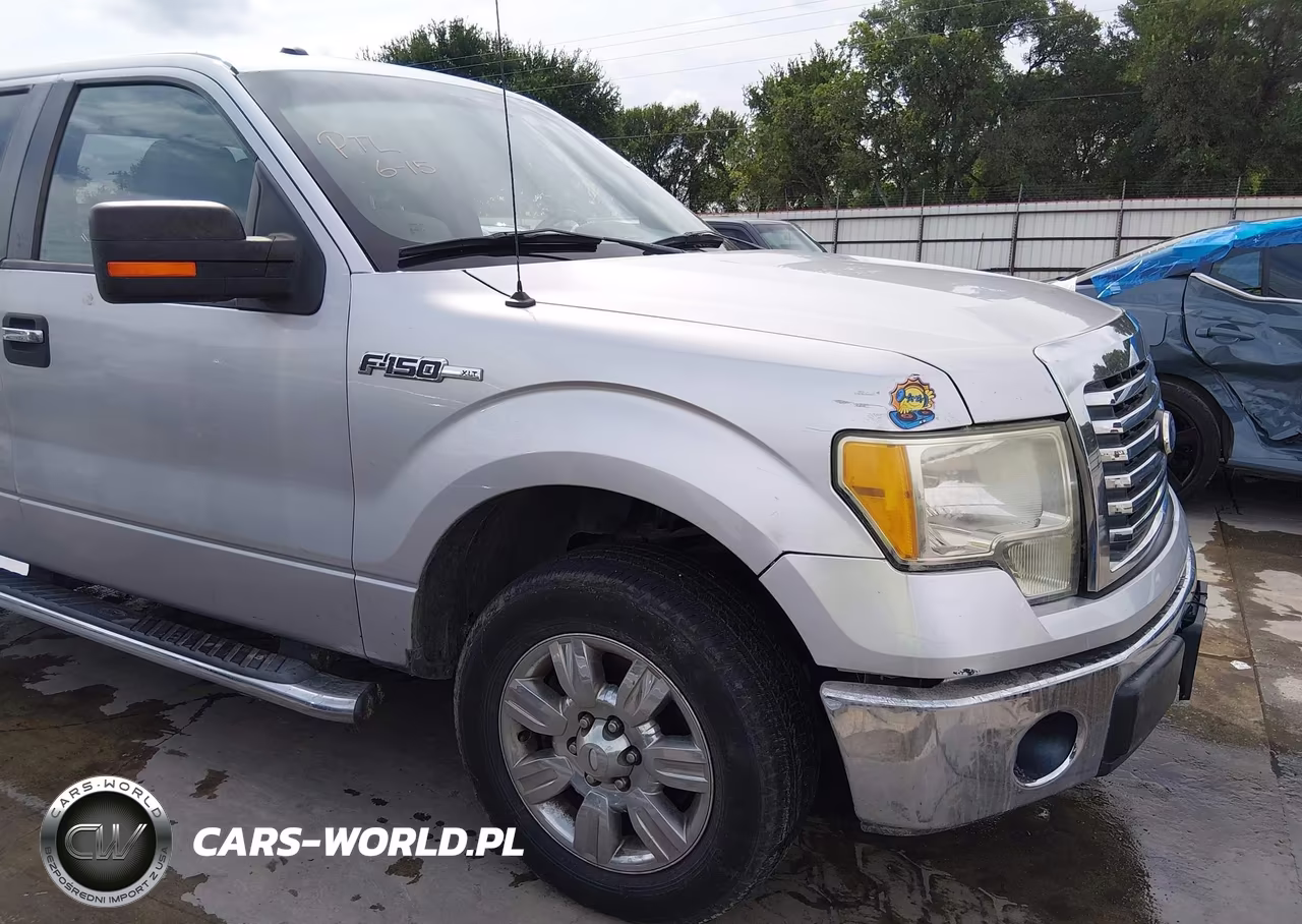 2010 Ford F-150 Fx2 Sport-Stx-Xl-Xlt VIN:1FTEX1C83AKE45847 - 22