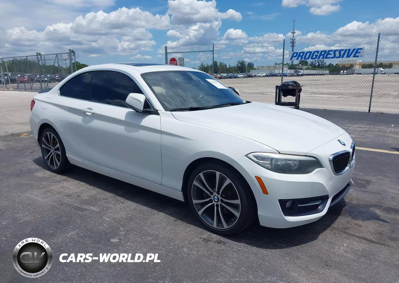 2017 BMW 230I