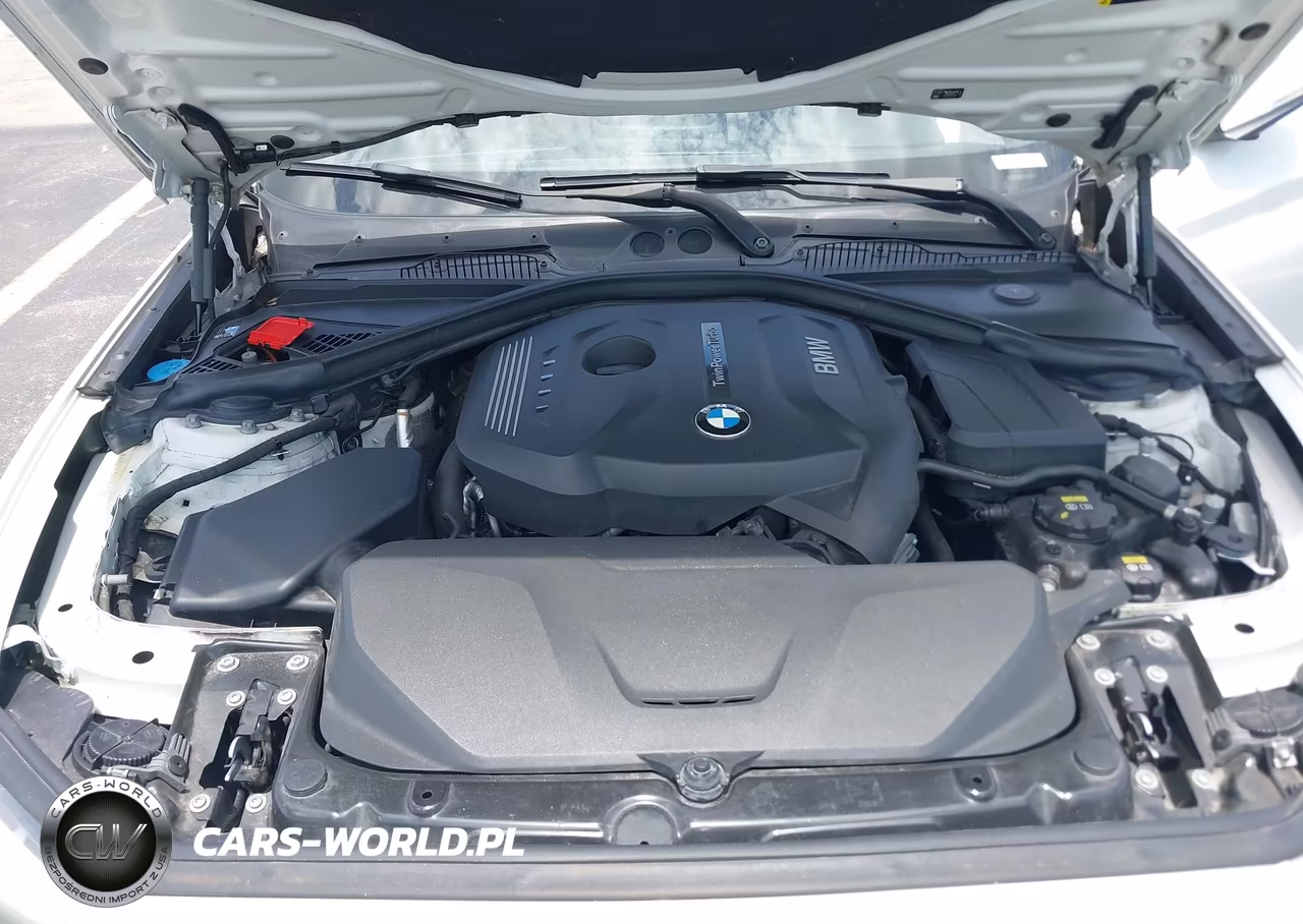 2017 BMW 230I VIN:WBA2F9C38HV664723 - 10