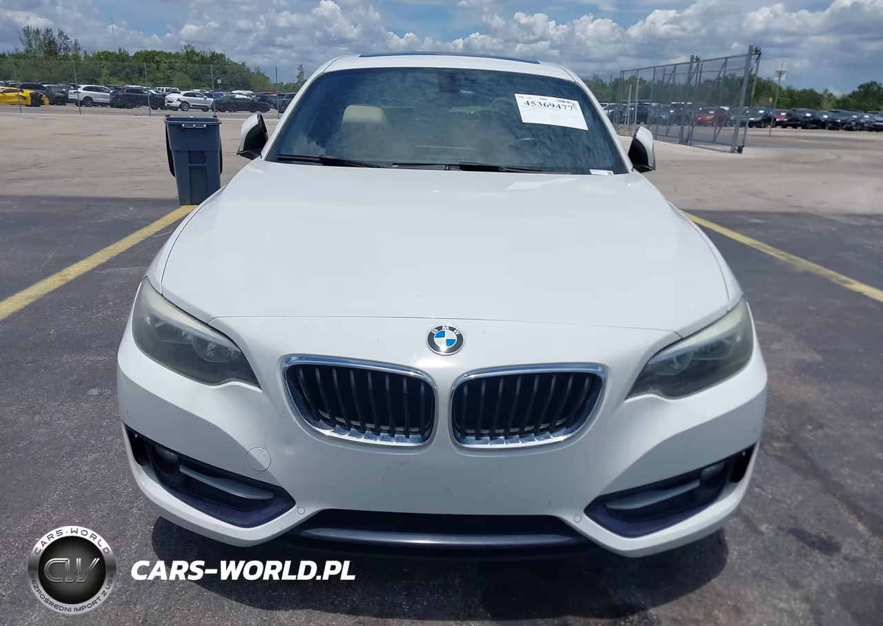 2017 BMW 230I VIN:WBA2F9C38HV664723 - 12