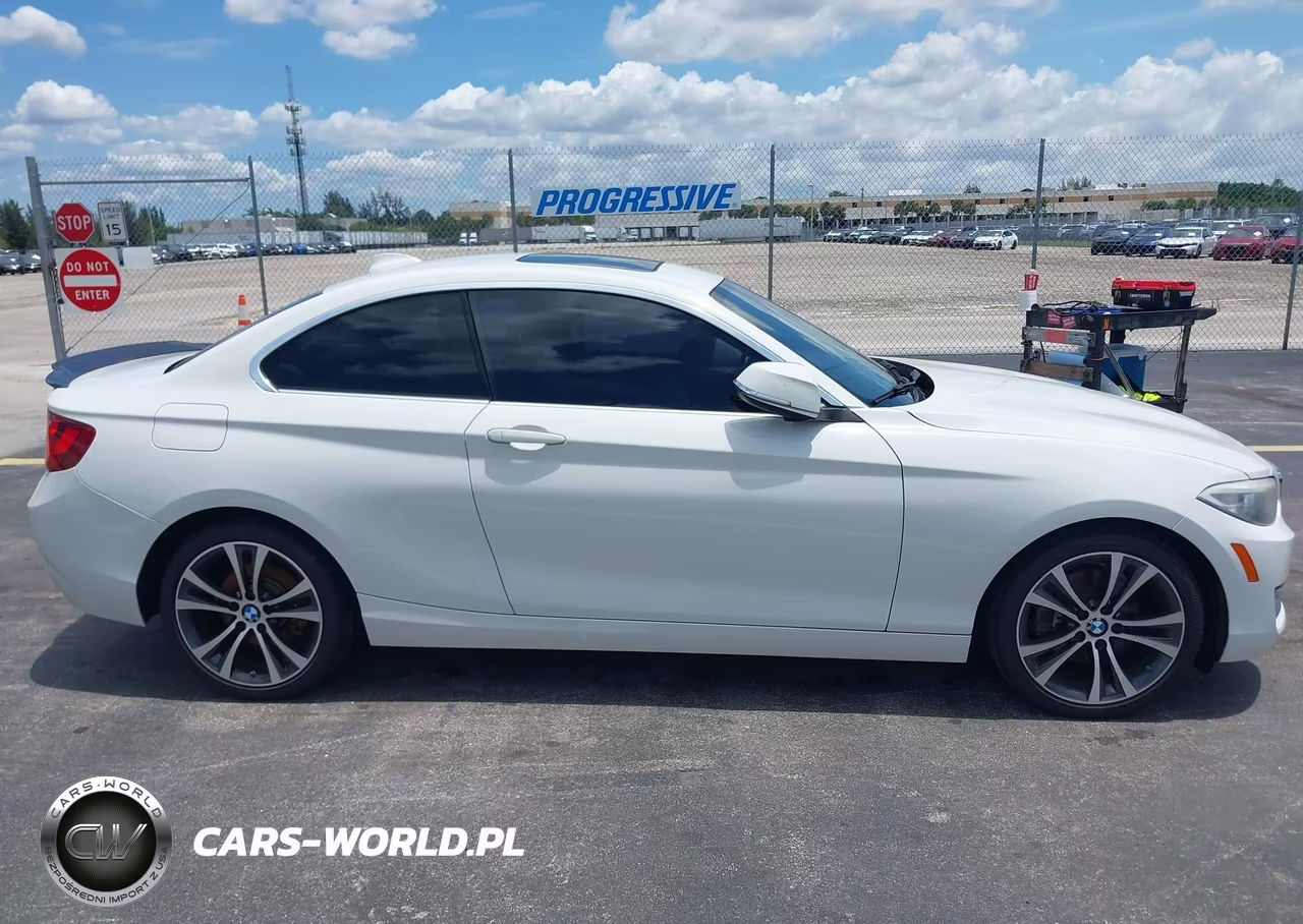 2017 BMW 230I VIN:WBA2F9C38HV664723 - 13