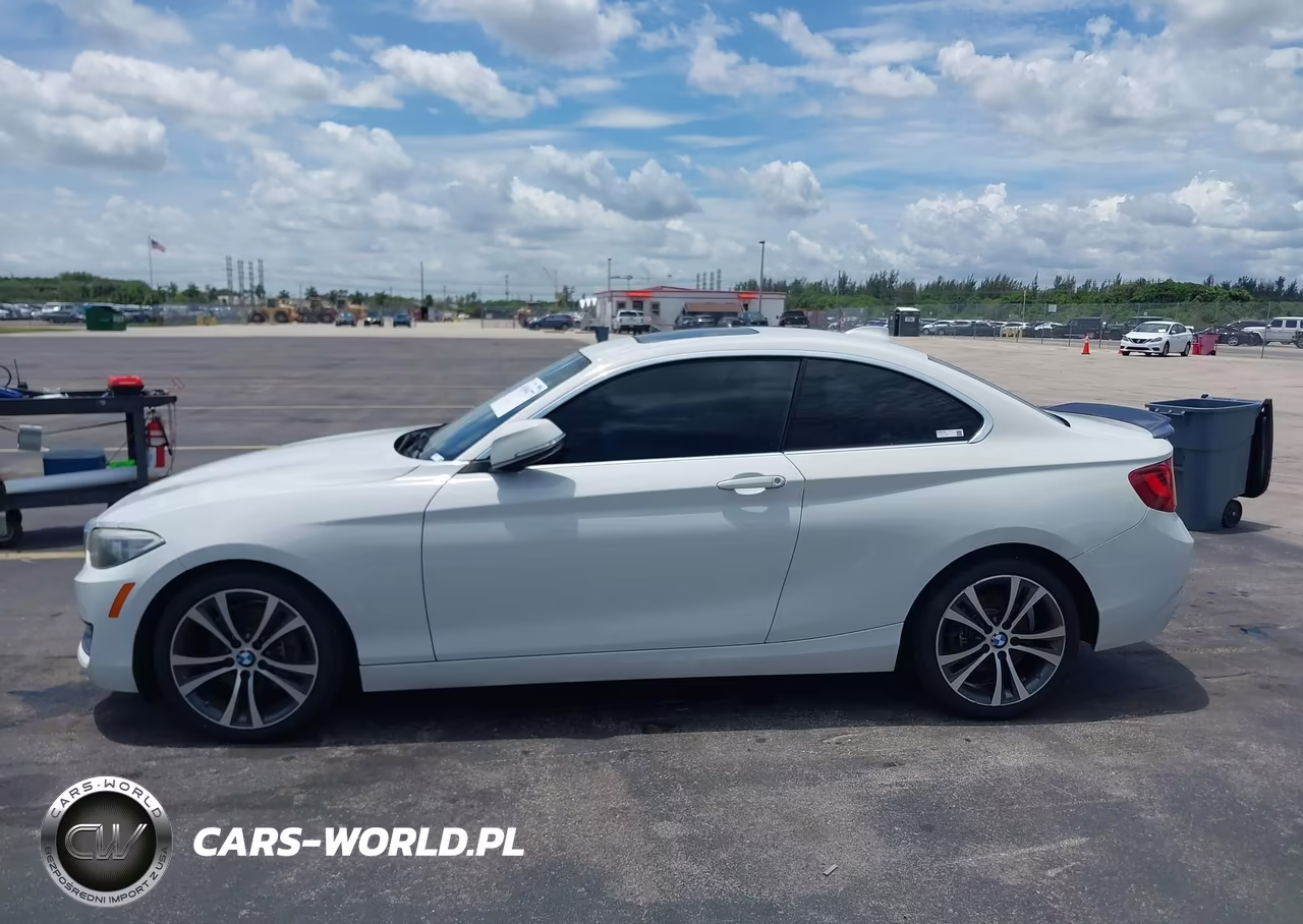 2017 BMW 230I VIN:WBA2F9C38HV664723 - 14