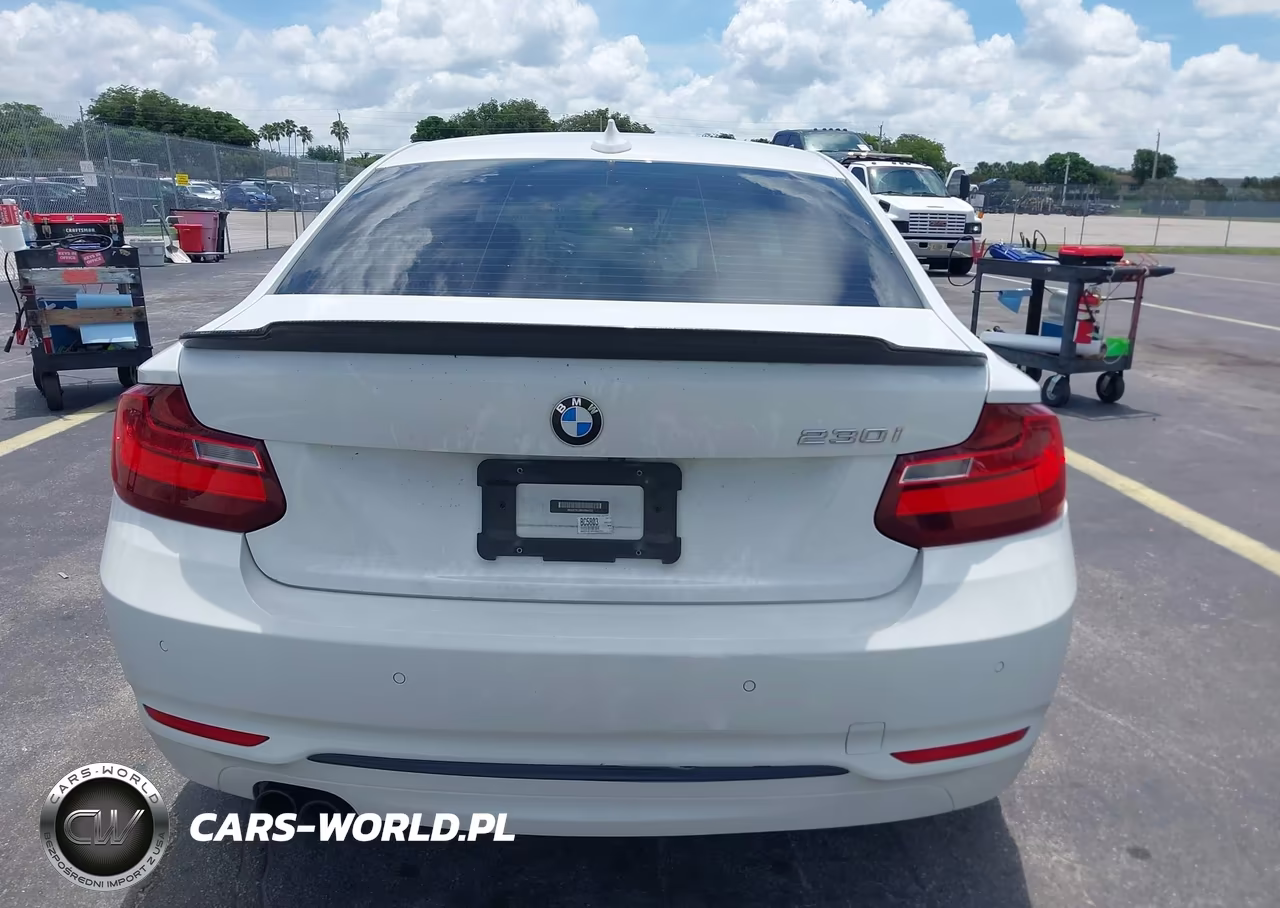 2017 BMW 230I VIN:WBA2F9C38HV664723 - 16