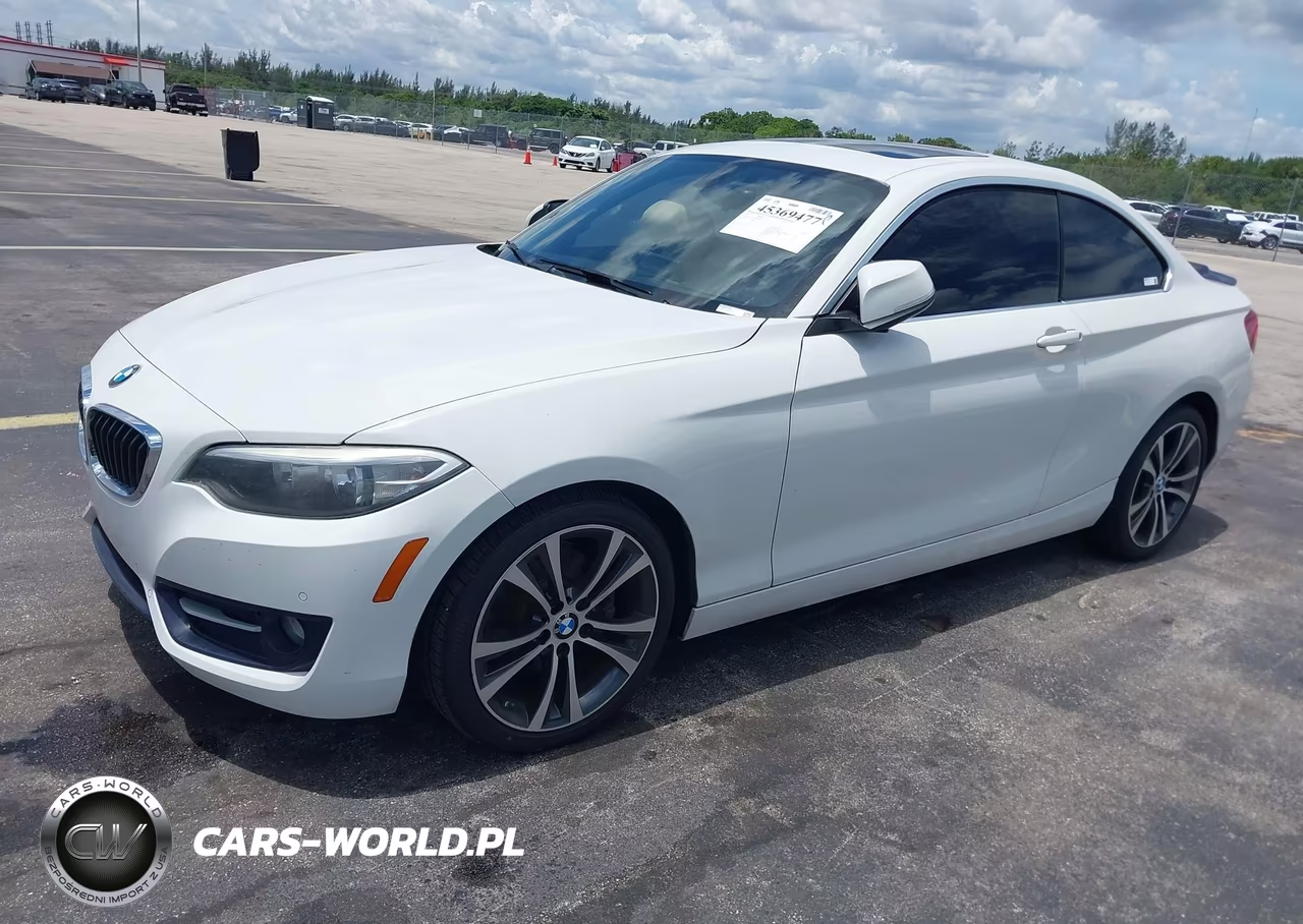 2017 BMW 230I VIN:WBA2F9C38HV664723 - 2