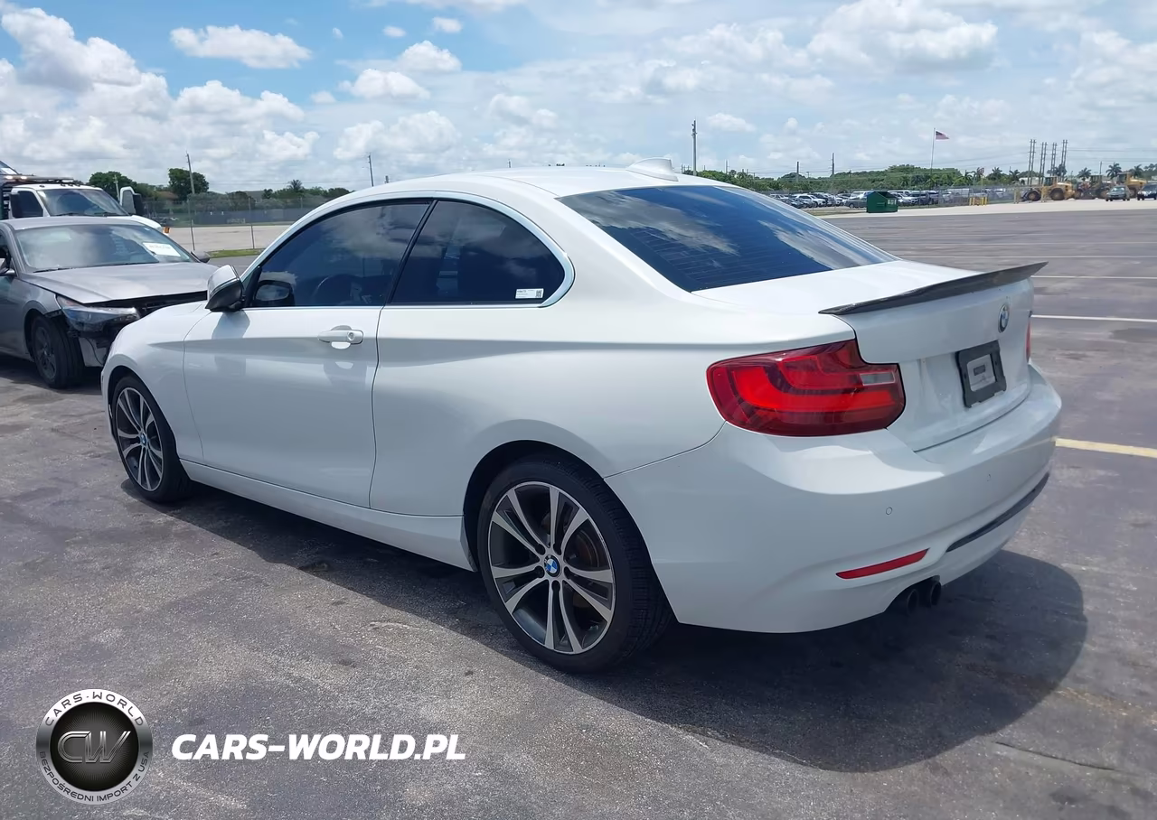 2017 BMW 230I VIN:WBA2F9C38HV664723 - 3