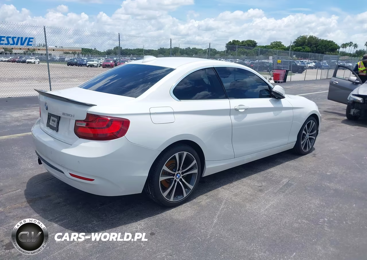 2017 BMW 230I VIN:WBA2F9C38HV664723 - 4