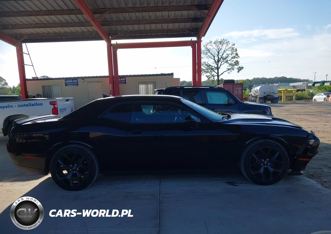 2020 Dodge Challenger Sxt VIN:2C3CDZAG3LH239807 - 13