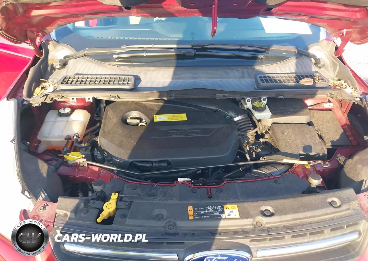 2014 Ford Escape Se VIN:1FMCU0GX1EUD06429 - 10