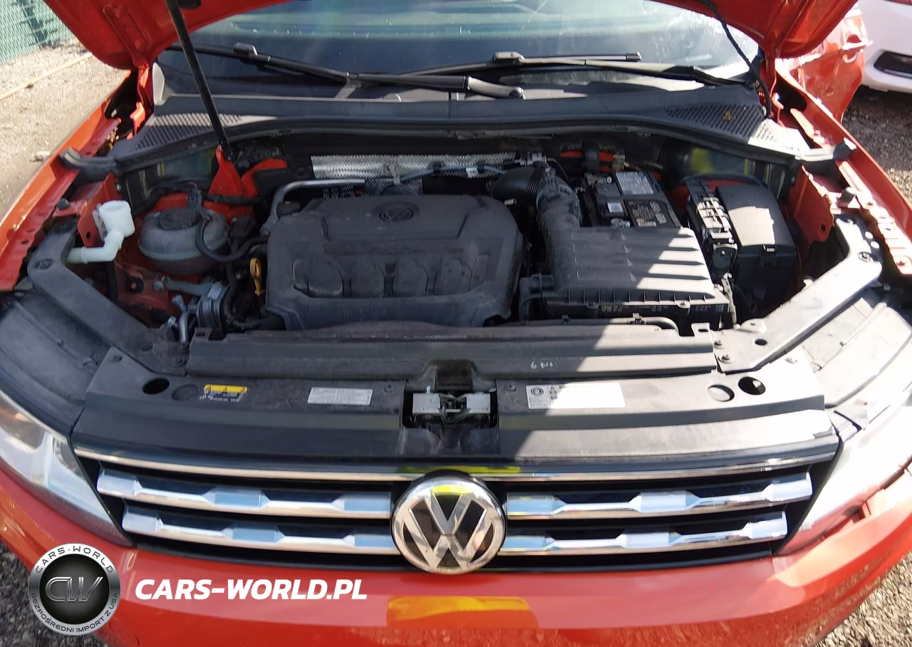 2019 Volkswagen Tiguan 2.0T S VIN:3VV1B7AXXKM099026 - 10
