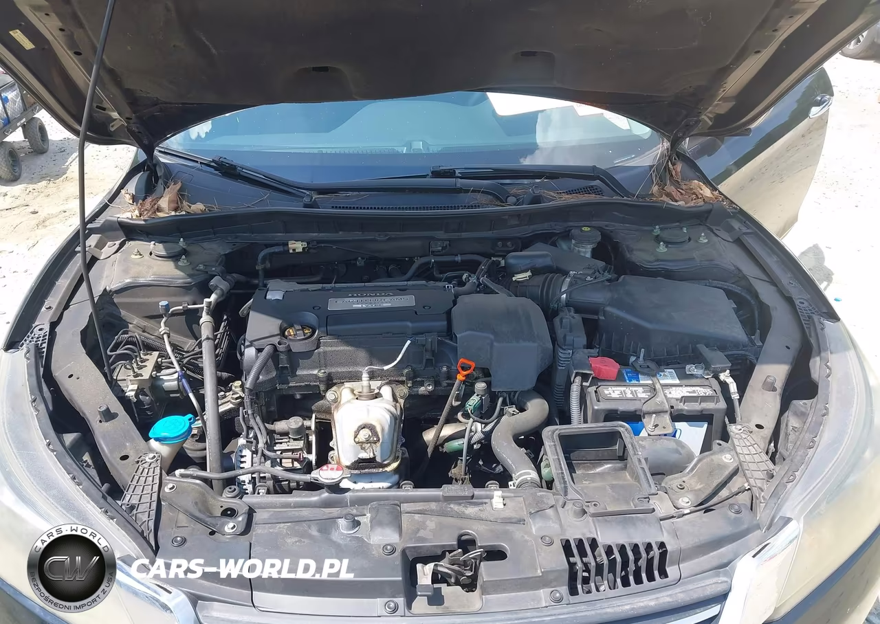 2013 Honda Accord Lx VIN:1HGCR2F33DA264704 - 10
