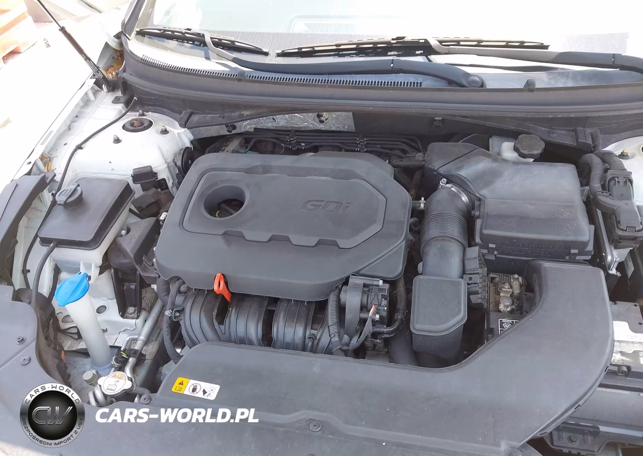 2016 Hyundai Sonata Se VIN:5NPE24AF6GH278120 - 6