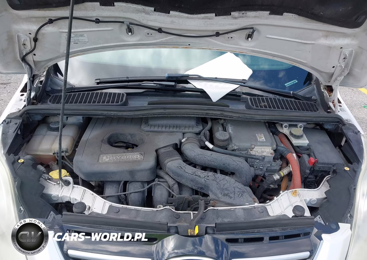2013 Ford C-Max Hybrid Se VIN:1FADP5AU4DL517324 - 10