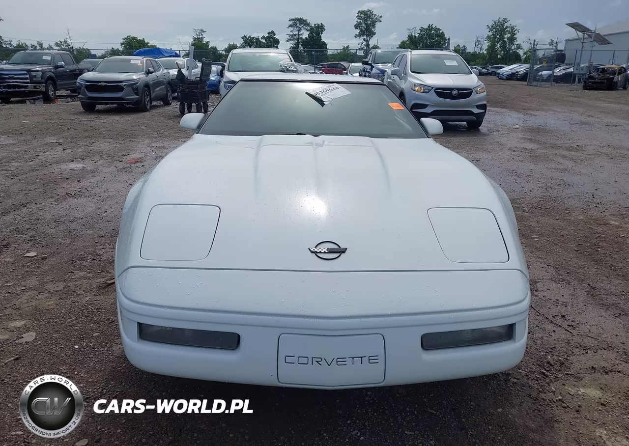 1996 Chevrolet Corvette VIN:1G1YY22P0T5119040 - 12