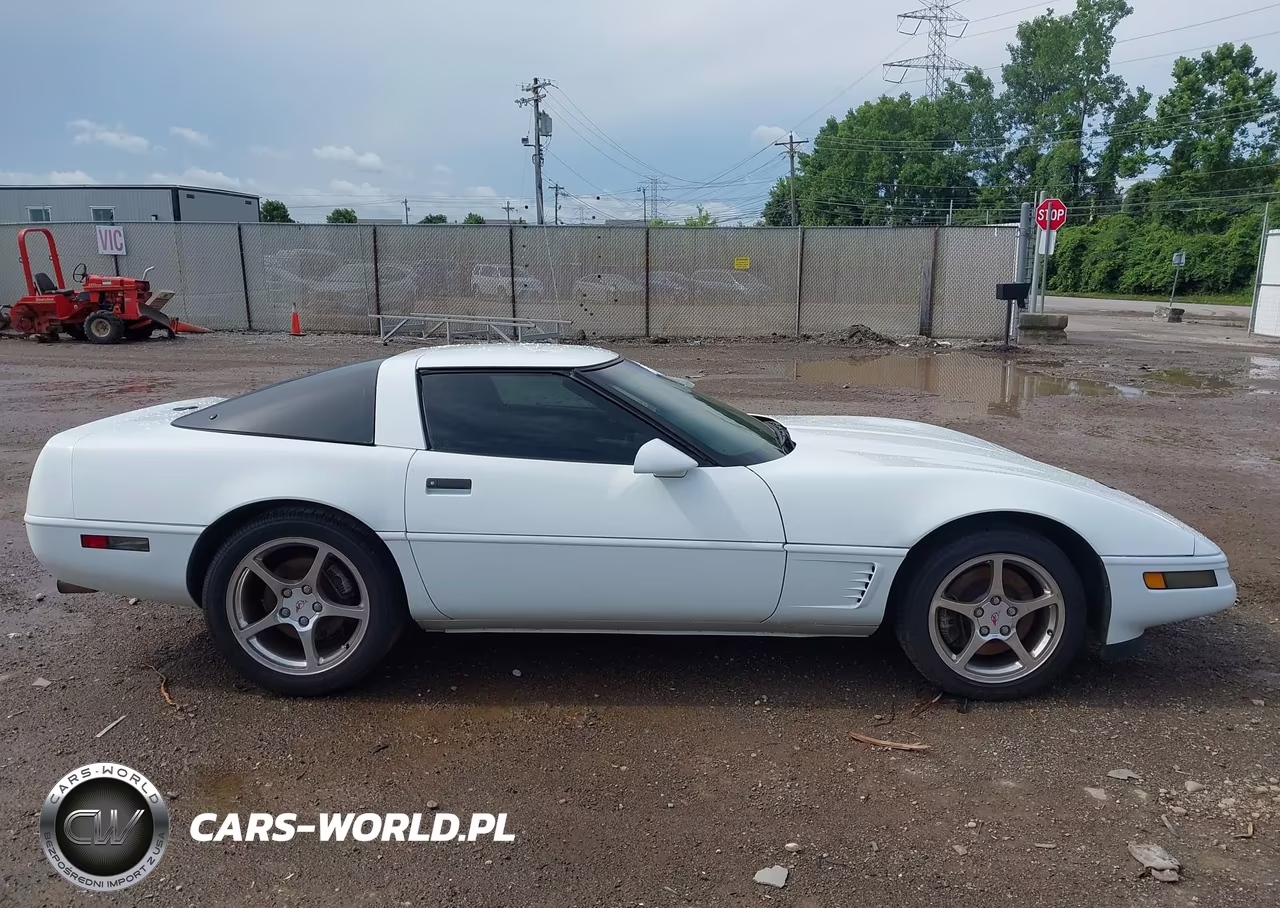 1996 Chevrolet Corvette VIN:1G1YY22P0T5119040 - 13