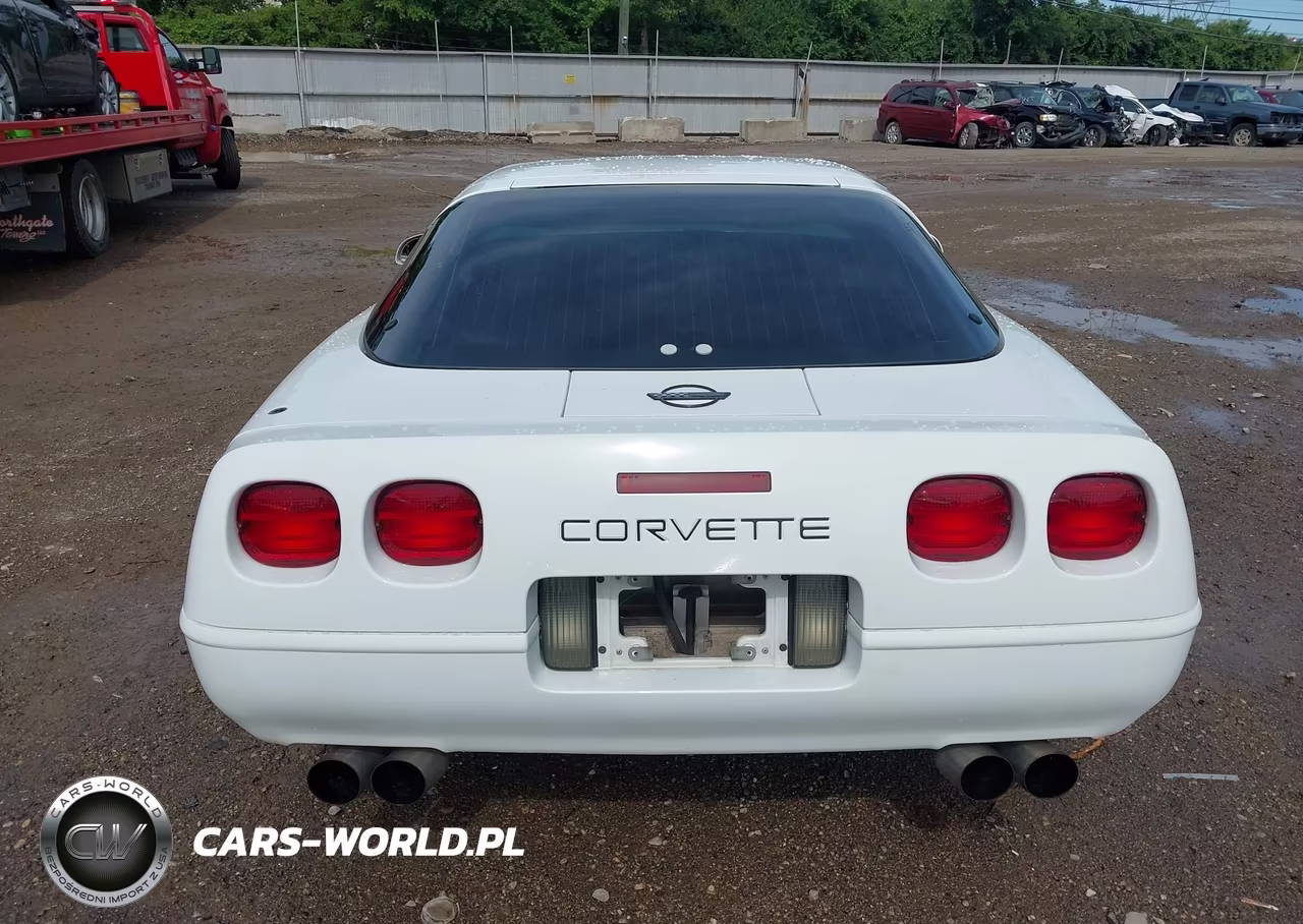 1996 Chevrolet Corvette VIN:1G1YY22P0T5119040 - 16