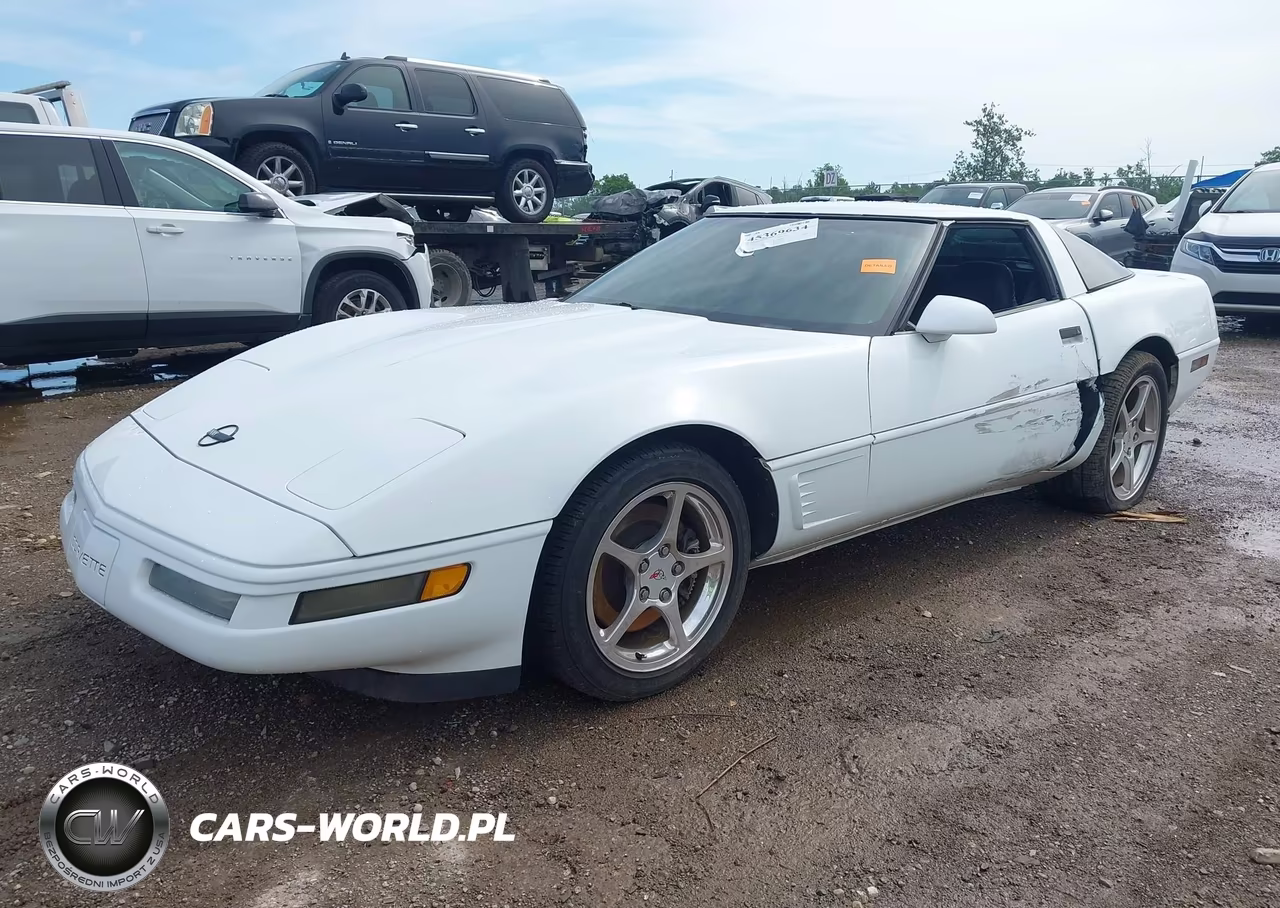 1996 Chevrolet Corvette VIN:1G1YY22P0T5119040 - 2