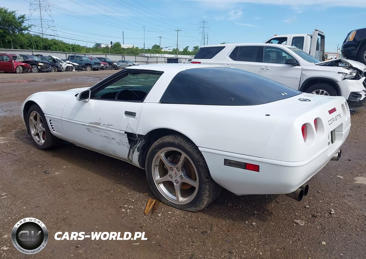 1996 Chevrolet Corvette VIN:1G1YY22P0T5119040 - 3